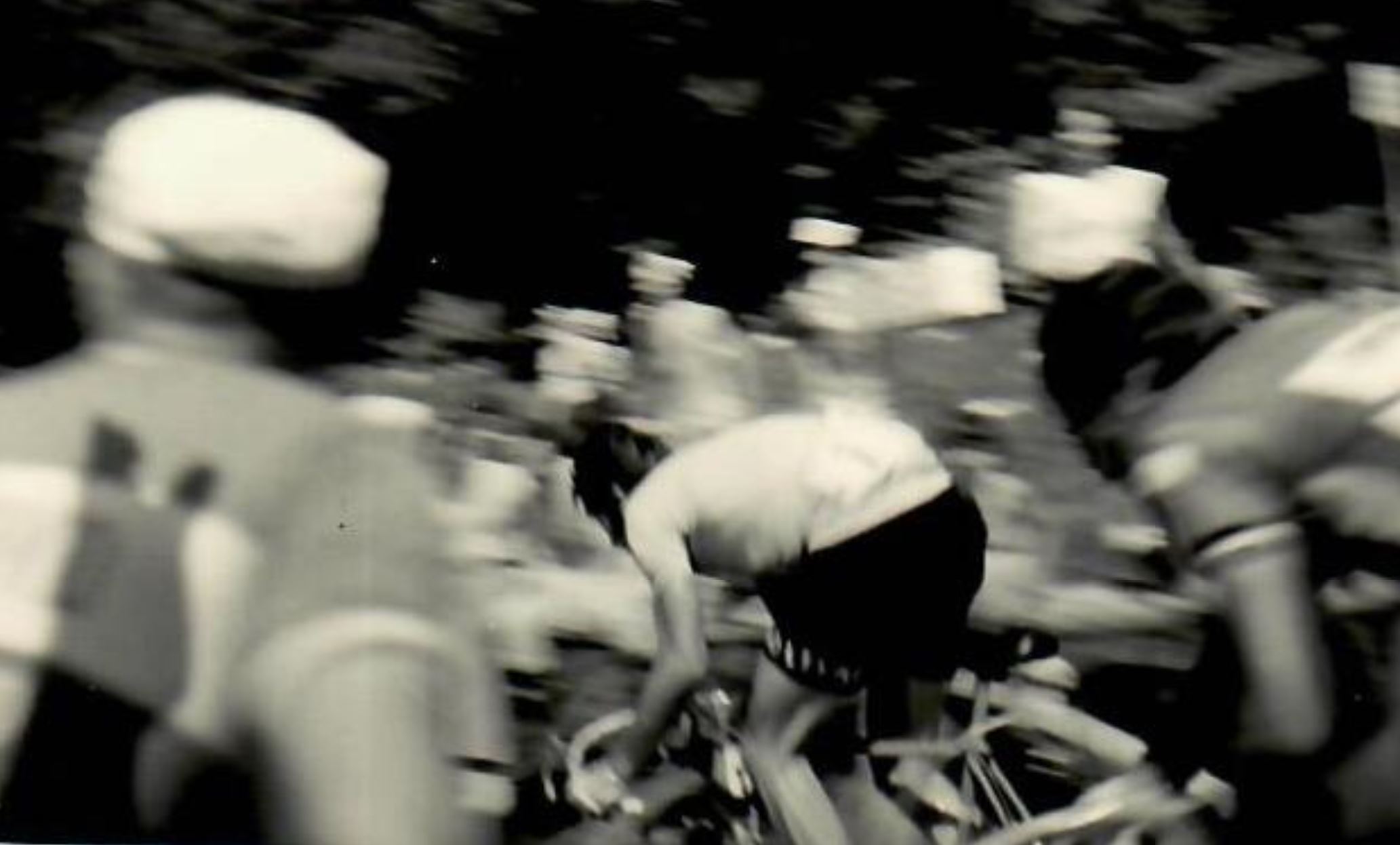 Merckx Generoso 3
