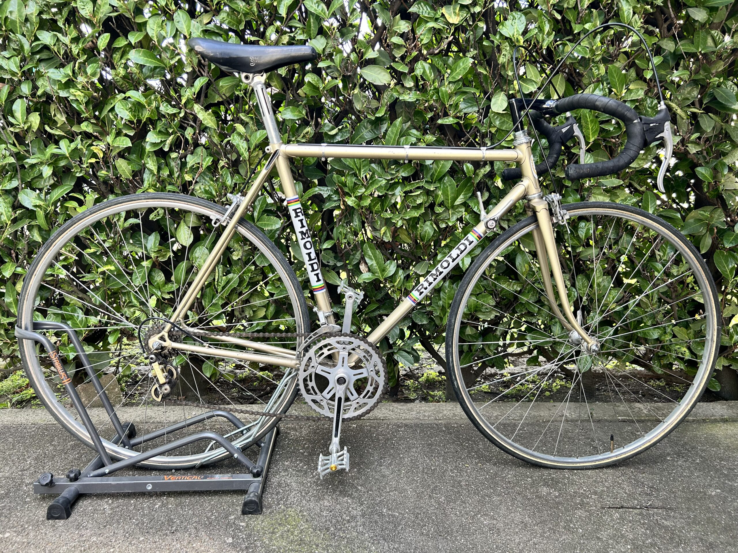 Bici noleggio Rimoldi 55 cm