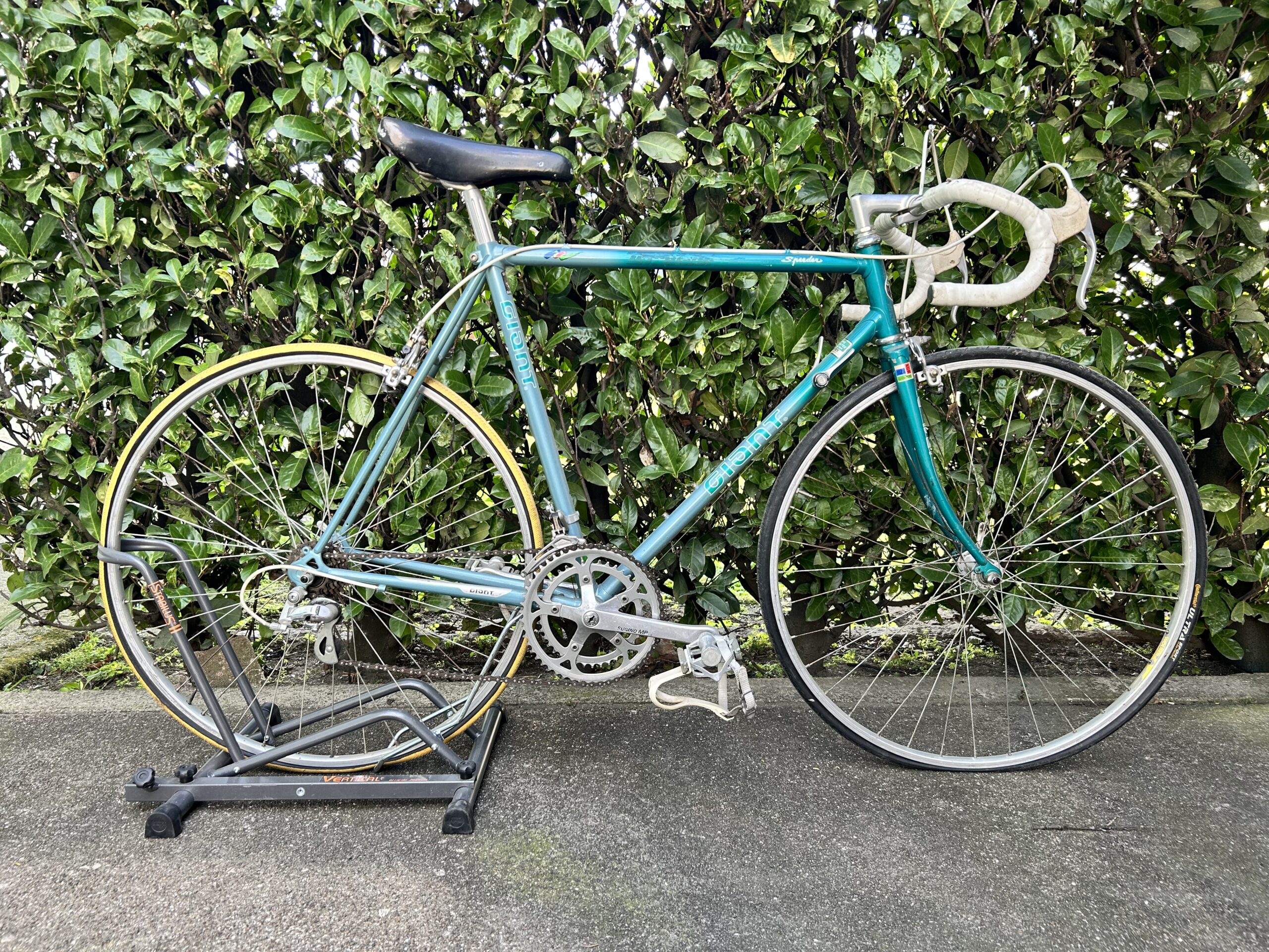 Bici noleggio Giant 56 cm