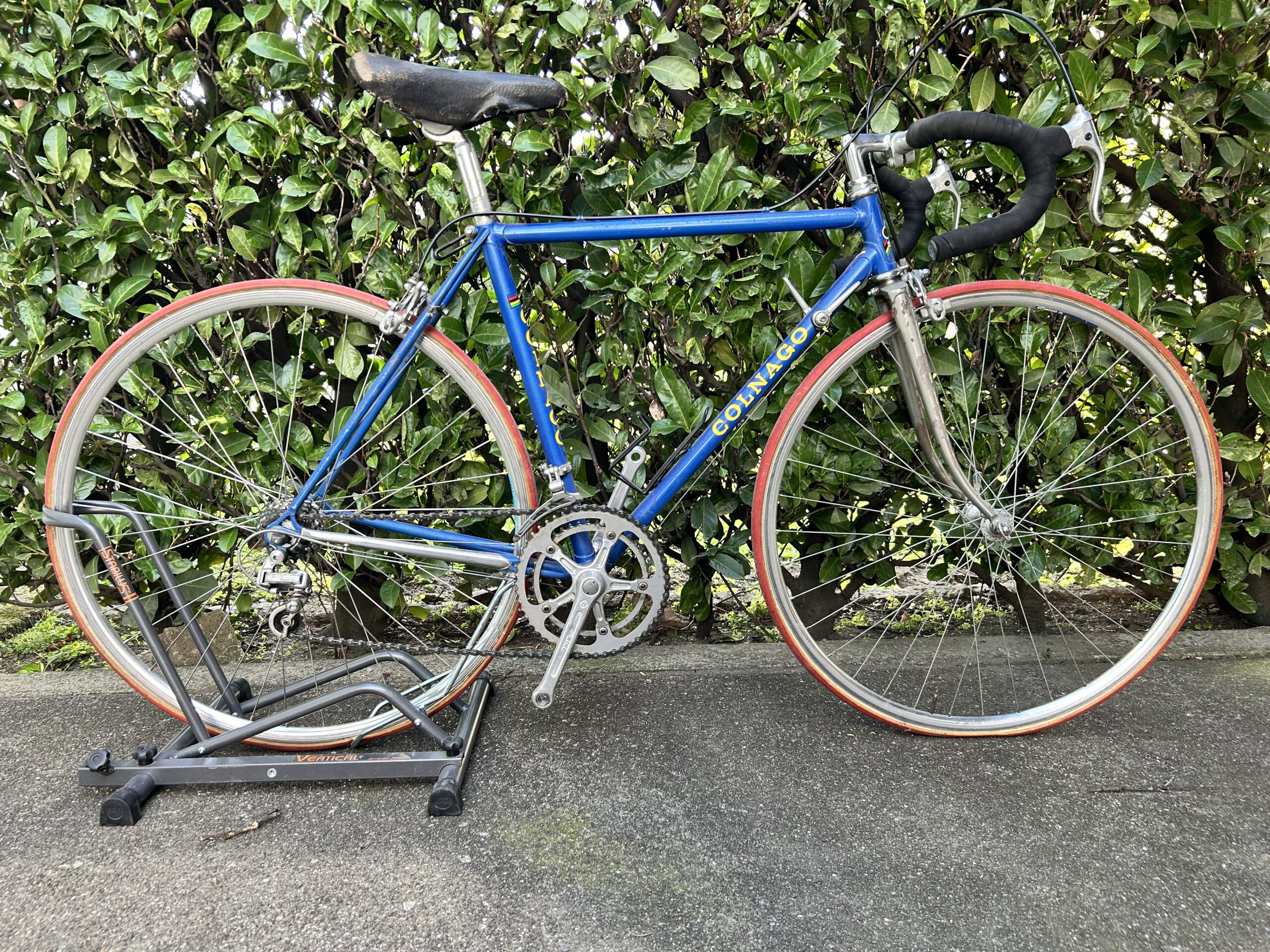 Bici noleggio Colnago 50 cm