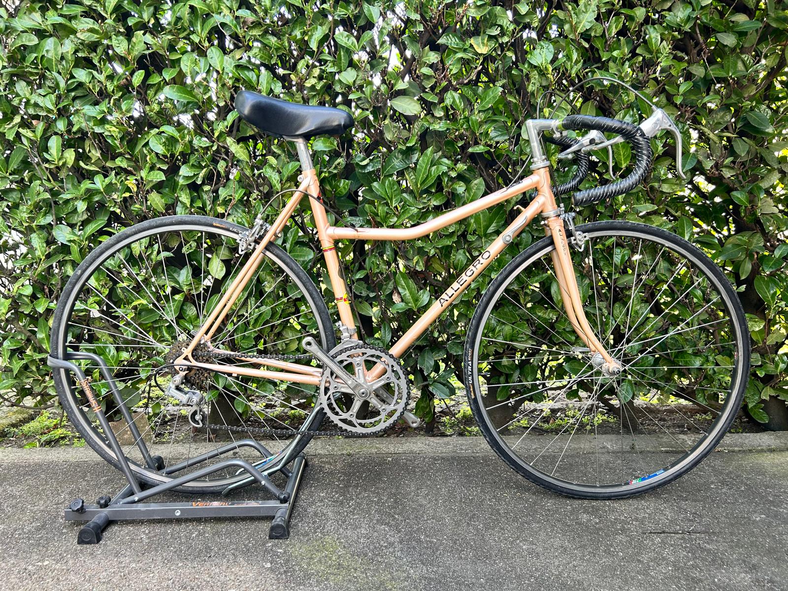 Bici noleggio Allegro 53 cm